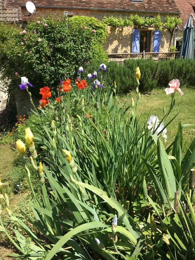 Gites Oasis Du Lot Payrac